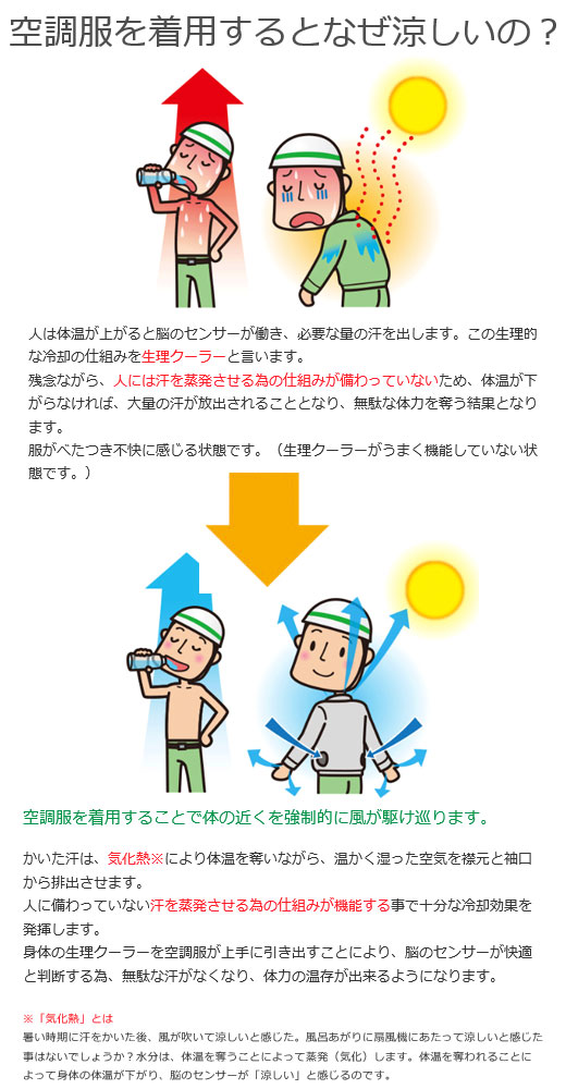 空調服を着用するとなぜ涼しいの?